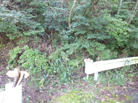 画像47